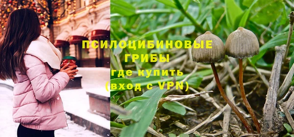 круглые Богданович